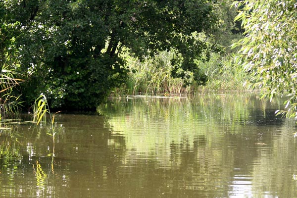 Killikus&reg; Fotographie